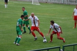 Pelikan - Zagłębie