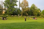 Górnik - Zagłębie