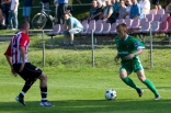 Cracovia Kraków - Zagłębie Sosnowiec (sparing)