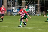 Cracovia Kraków - Zagłębie Sosnowiec (sparing)