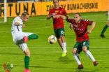 Zagłębie Sosnowiec - Warta Poznań (galeria2)
