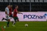 Zagłębie Sosnowiec - Warta Poznań (galeria2)