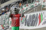 Zagłębie Sosnowiec - GKS Jastrzębie
