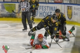 Hokej: Zagłębie Sosnowiec - GKS Katowice