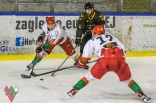 Hokej: Zagłębie Sosnowiec - GKS Katowice