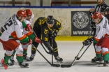 Hokej: Zagłębie Sosnowiec - GKS Katowice
