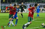 Zagłębie Sosnowiec - Puszcza Niepołomice (galeria2)