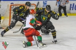 Hokej: Zagłębie Sosnowiec - GKS Katowice