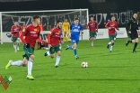 Zagłębie Sosnowiec - Puszcza Niepołomice (galeria2)
