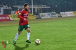 Zagłębie Sosnowiec - Puszcza Niepołomice (galeria2)