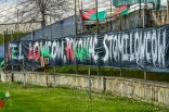 Zagłębie Sosnowiec - Podbeskidzie Bielsko-Biała (galeria2)