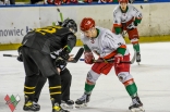 Hokej: Zagłębie Sosnowiec - GKS Katowice
