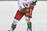Hokej: Play-Off Zagłębie Sosnowiec - GKS Katowice