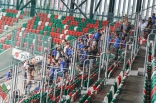 Zagłębie Sosnowiec - Wisła Płock