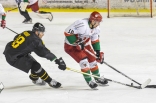 Hokej: Play-Off Zagłębie Sosnowiec - GKS Katowice