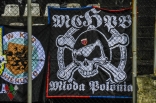 Zagłębie Sosnowiec - Arka Gdynia (galeria2)