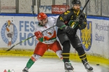 Hokej: Zagłębie Sosnowiec - GKS Katowice