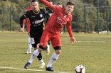 Zagłębie Sosnowiec - SC Znojmo 27.01.2019