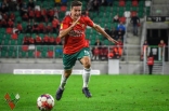 Zagłębie Sosnowiec - Bruk-Bet Termalica Nieciecza (galeria 2)