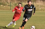 Zagłębie Sosnowiec - SC Znojmo 27.01.2019