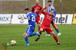 Sparing: Zagłębie Sosnowiec - Ruch Chorzów (galeria2)