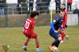 Sparing: Zagłębie Sosnowiec - Odra Opole (galeria2)