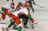 Hokej: Zagłębie Sosnowiec - GKS Katowice