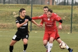Zagłębie Sosnowiec - SC Znojmo 27.01.2019