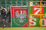Warta Poznań - Zagłębie Sosnowiec, cz. II