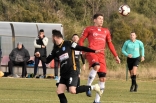 Zagłębie Sosnowiec - SC Znojmo 27.01.2019
