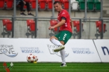 Zagłębie Sosnowiec - Olimpia Grudziądz