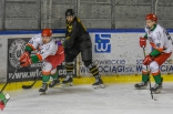 Hokej: Zagłębie Sosnowiec - GKS Katowice