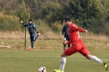 Zagłębie Sosnowiec - SC Znojmo 27.01.2019