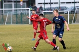 Sparing: Zagłębie Sosnowiec - Odra Opole (galeria2)