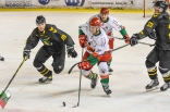 Hokej: Zagłębie Sosnowiec - GKS Katowice