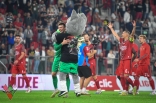 Zagłębie Sosnowiec - Resovia Rzeszów (galeria2)