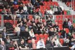 Koszykówka: Zagłębie Sosnowiec - BC Polkowice