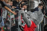 Zagłębie Sosnowiec - Bruk-Bet Termalica Nieciecza (galeria 2)