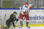 Hokej: Play-Off Zagłębie Sosnowiec - GKS Katowice