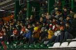 Hokej: Zagłębie Sosnowiec - GKS Katowice