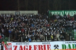 Zagłębie Sosnowiec - Puszcza Niepołomice (galeria2)