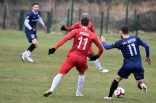 Zagłębie Sosnowiec - Zarkovo Belgrad 23.01.2019