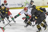 Hokej: Play-Off Zagłębie Sosnowiec - GKS Katowice