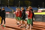 Wisła Puławy - Zagłębie Sosnowiec