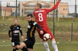 Zagłębie Sosnowiec - SC Znojmo 27.01.2019