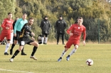 Zagłębie Sosnowiec - SC Znojmo 27.01.2019