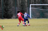 Sparing: Zagłębie Sosnowiec - Odra Opole (galeria2)