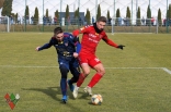 Sparing: Zagłębie Sosnowiec - Odra Opole (galeria2)