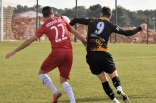 Zagłębie Sosnowiec - SC Znojmo 27.01.2019