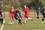 Zagłębie Sosnowiec - SC Znojmo 27.01.2019